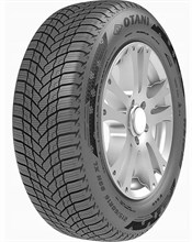 Otani WE1000 195/65R15 91 H